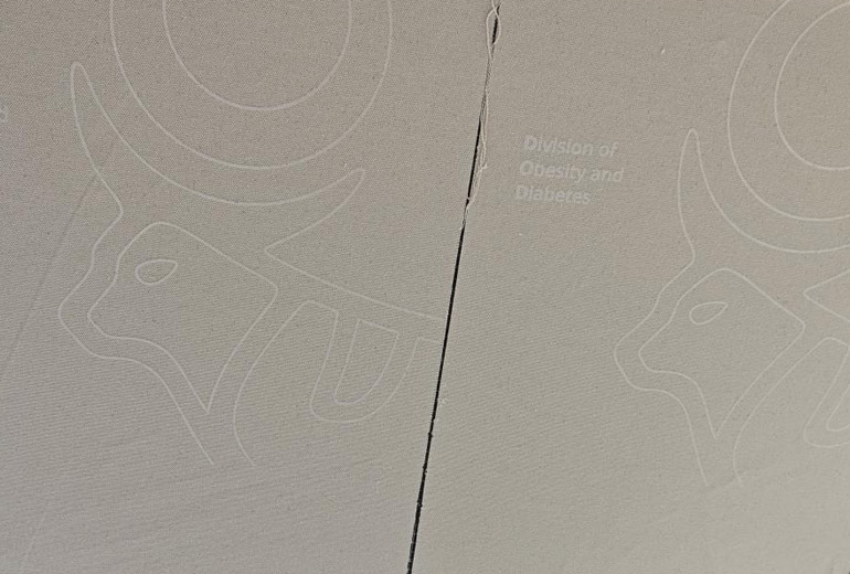 诺和诺德2600个定制帆布袋-05